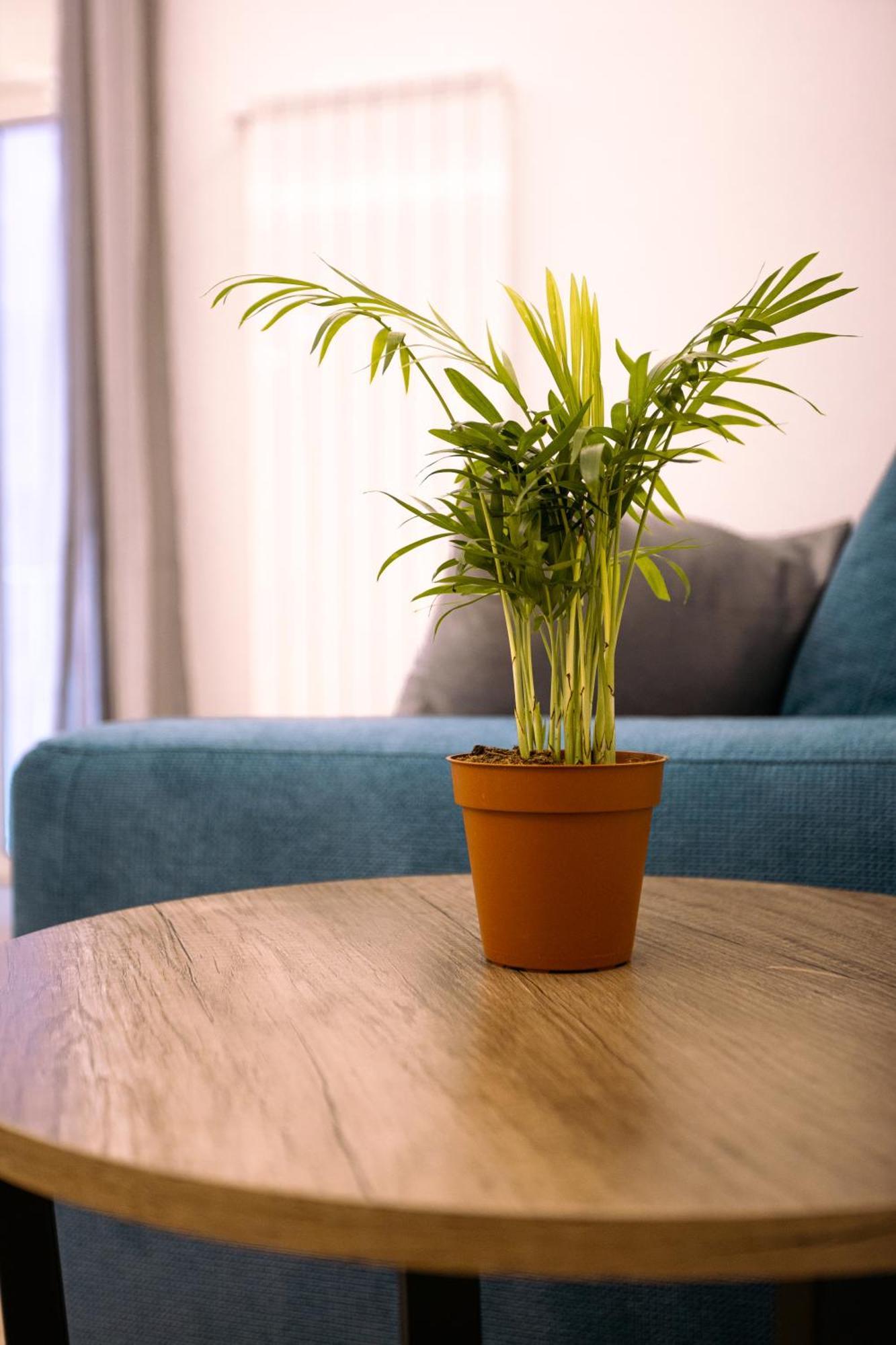 Song House Apartment Centro Storico 7 Pax Neapol Zewnętrze zdjęcie